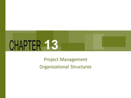 Project Management Organizational Structures