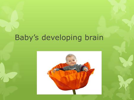 Baby’s developing brain. Left and Right Brain – Don’t write this  The human brain is divided into two hemispheres—the right brain and the left brain.