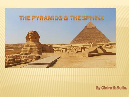 The Pyramids & The Sphinx