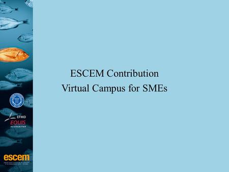 ESCEM Contribution Virtual Campus for SMEs. ESCEM Key figures –2,600 students –12,400 alumni in 78 different countries and 3,000 firms –66 professors.