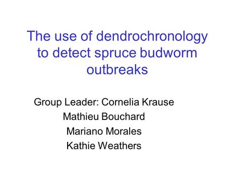 The use of dendrochronology to detect spruce budworm outbreaks Group Leader: Cornelia Krause Mathieu Bouchard Mariano Morales Kathie Weathers.