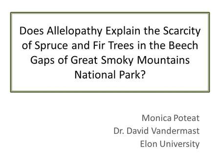 Does Allelopathy Explain the Scarcity of Spruce and Fir Trees in the Beech Gaps of Great Smoky Mountains National Park? Monica Poteat Dr. David Vandermast.