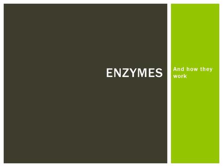 Enzymes And how they work.