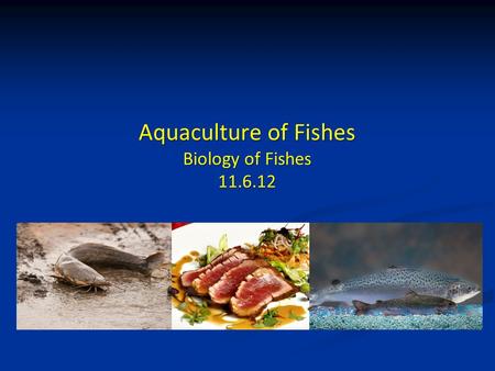 Aquaculture of Fishes Biology of Fishes 11.6.12. Presentation Guidelines Presentation Guidelines Syllabus Revisions Syllabus Revisions Guest Lecture 2.