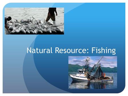 Natural Resource: Fishing. East Coast Fishery Fisherman noticed they were catching fewer and smaller fish. The Canadian government responded in 1992 by.