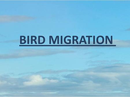 BIRD MIGRATION. Why do birds migrate? Birds migrate to move from areas that have low or decreasing resources The two most important resources being looked.