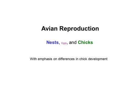Avian Reproduction Nests, Eggs, and Chicks