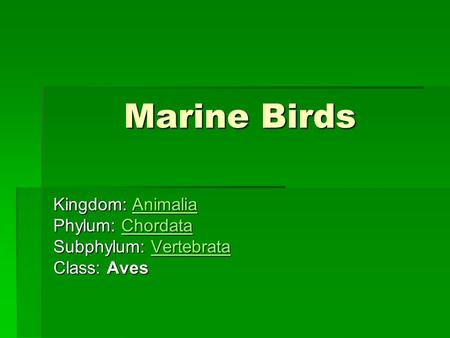 Marine Birds Kingdom: Animalia Animalia Phylum: Chordata Chordata Subphylum: Vertebrata Vertebrata Class: Aves.