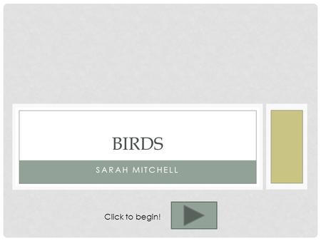 SARAH MITCHELL BIRDS Click to begin!. TEACHER’S PAGE Objectives: Given a beak type, students will be able to identify what food the bird eats with complete.