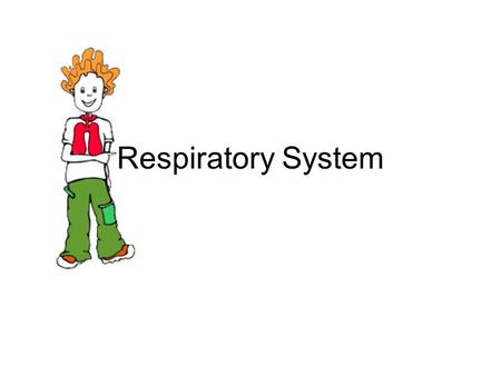 Respiratory System. Look at your diagram of the RESPIRATORY SYSTEM It shows the apparatus for breathing. Breathing is the process by which oxygen in the.