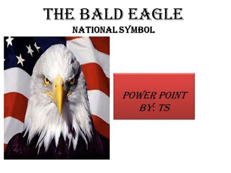 The Bald Eagle National Symbol Power Point By: TS.