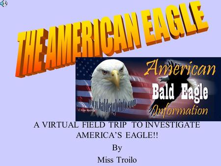 A VIRTUAL FIELD TRIP TO INVESTIGATE AMERICA’S EAGLE!! By Miss Troilo.