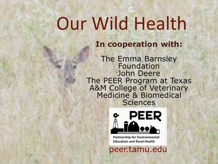 Our Wild Health In cooperation with: The Emma Barnsley Foundation John Deere The PEER Program at Texas A&M College of Veterinary Medicine & Biomedical.