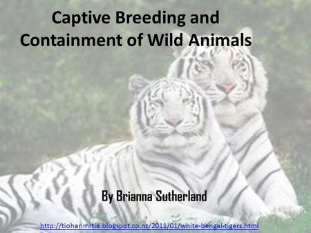 Captive Breeding and Containment of Wild Animals