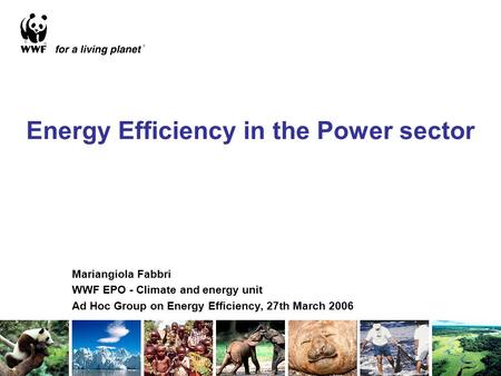 Energy Efficiency in the Power sector Mariangiola Fabbri WWF EPO - Climate and energy unit Ad Hoc Group on Energy Efficiency, 27th March 2006.