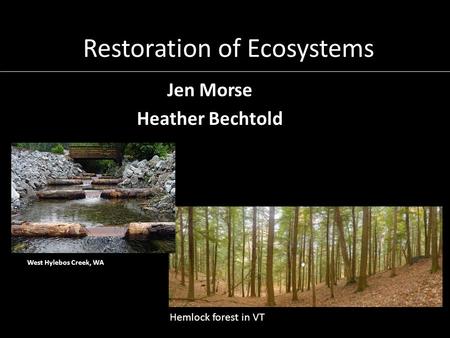 Restoration of Ecosystems Jen Morse Heather Bechtold Hemlock forest in VT West Hylebos Creek, WA.