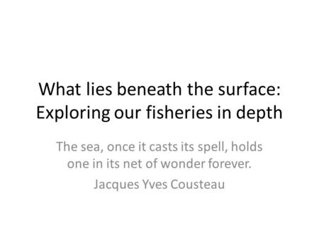 What lies beneath the surface: Exploring our fisheries in depth