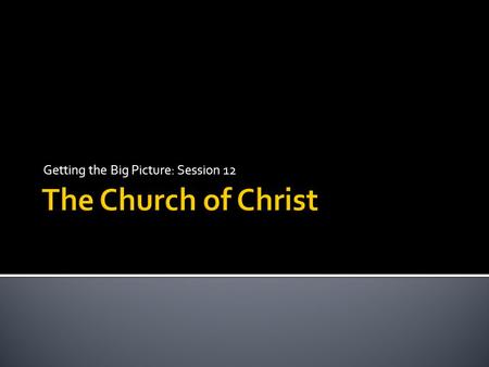 Getting the Big Picture: Session 12. The Life of Christ The Church of Christ.
