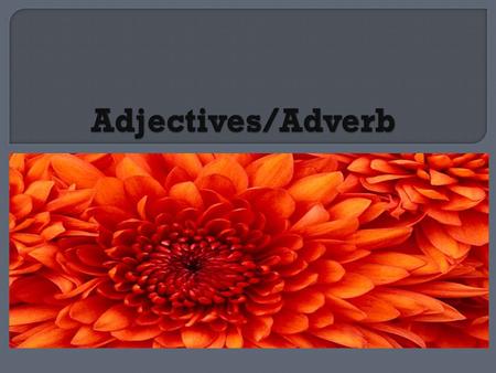 Adjectives/Adverb.
