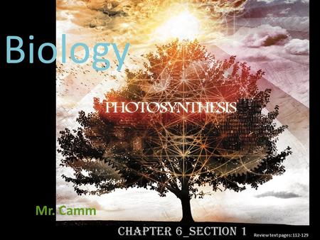Chapter 6_Section 1 Mr. Camm Biology Review text pages: 112-129.