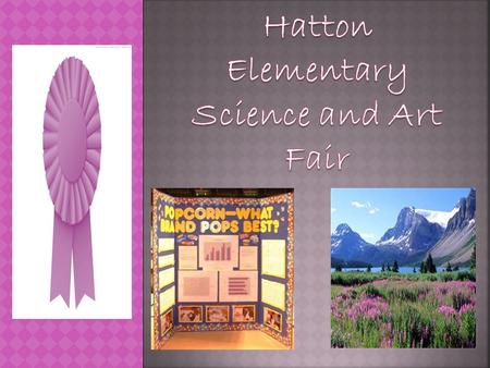 The purpose of a science and art fair is for students to have an authentic learning experience while showcasing their talents to the school and community.
