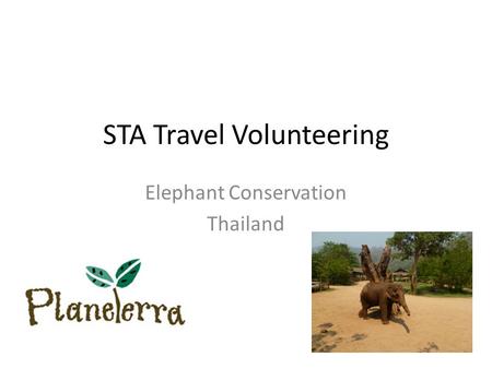STA Travel Volunteering Elephant Conservation Thailand.