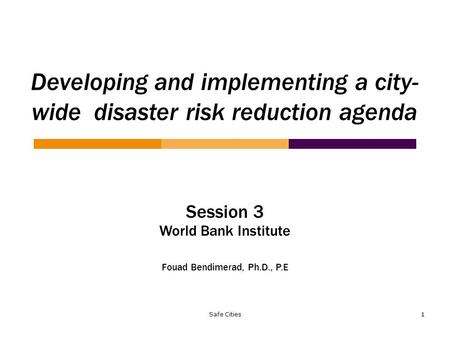 Developing and implementing a city-wide disaster risk reduction agenda