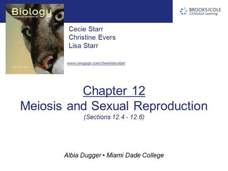 Chapter 12 Meiosis and Sexual Reproduction