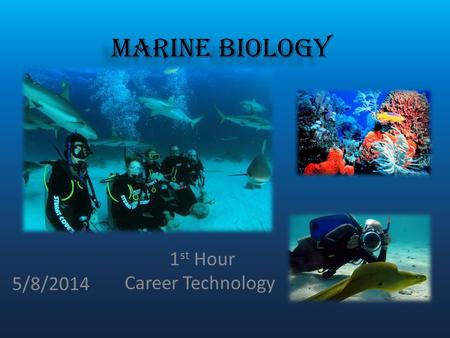 Marine Biology 5/8/2014 1st Hour Career Technology.