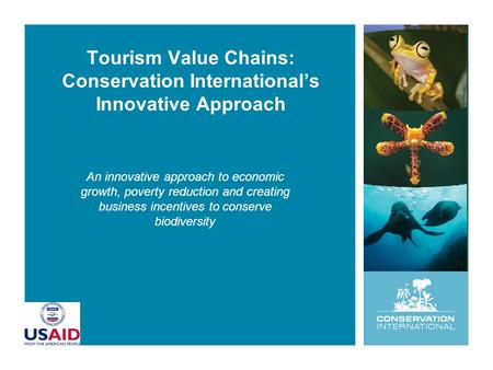 Tourism Value Chains: Conservation International’s Innovative Approach An innovative approach to economic growth, poverty reduction and creating business.