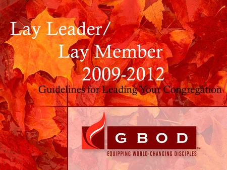 Lay Leader/ Lay Member 2009-2012 Guidelines for Leading Your Congregation.