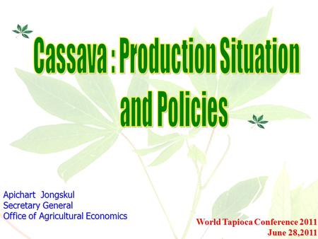 Cassava : Production Situation
