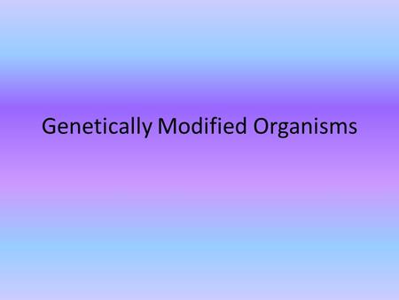Genetically Modified Organisms. 1.Go to my wikipage : oconnorbiology.greenwich.wikispaces.net 2.Click on the Google Forms link 3.Answer the questions.