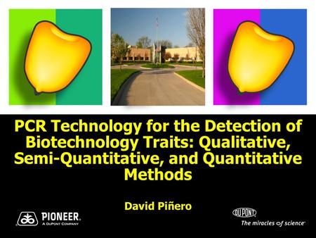 PCR Technology for the Detection of Biotechnology Traits: Qualitative, Semi-Quantitative, and Quantitative Methods David Piñero.