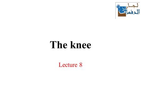 The knee Lecture 8.