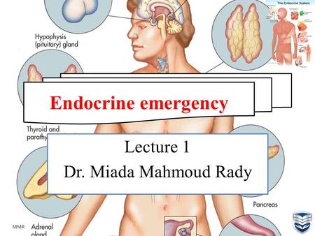 MMR Endocrine emergency Lecture 1 Dr. Miada Mahmoud Rady.