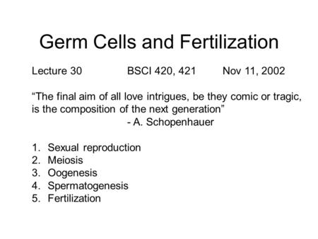 Germ Cells and Fertilization Lecture 30BSCI 420, 421Nov 11, 2002 “The final aim of all love intrigues, be they comic or tragic, is the composition of the.