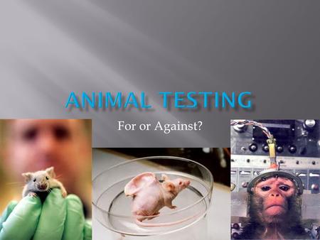 For or Against?.  Animal testing is a phrase that most people have heard but are perhaps still unsure of exactly what is involved. Whether it is called.