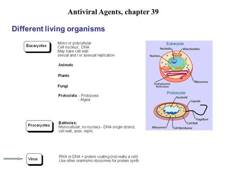 Antiviral Agents, chapter 39 Different living organisms.