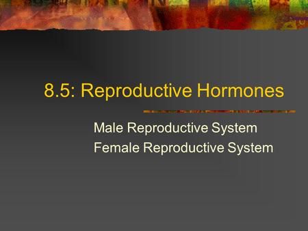 8.5: Reproductive Hormones Male Reproductive System Female Reproductive System.