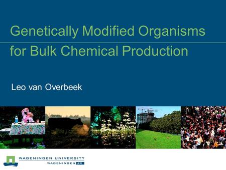 Genetically Modified Organisms for Bulk Chemical Production Leo van Overbeek.