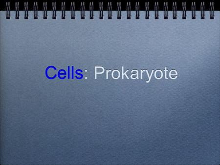 Cells: Prokaryote. Cells are broken into two categories : Prokaryote “style” Eukaryote “style”(we have already studied)