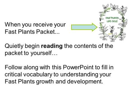 When you receive your Fast Plants Packet... Quietly begin reading the contents of the packet to yourself… Follow along with this PowerPoint to fill in.