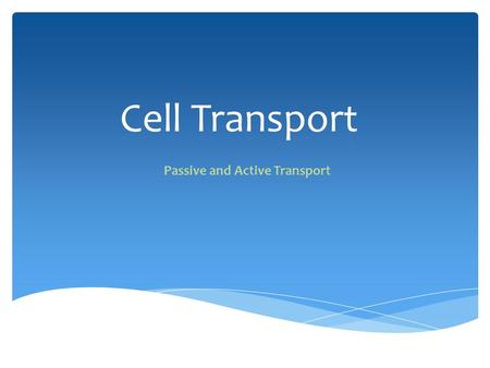 Cell Transport Passive and Active Transport. 1.All cells have a cell membrane a.Functions: o Controls what enters and exits the cell o Provides protection.
