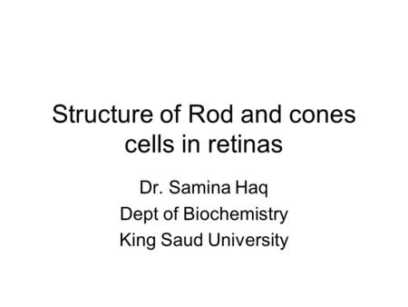 Structure of Rod and cones cells in retinas Dr. Samina Haq Dept of Biochemistry King Saud University.
