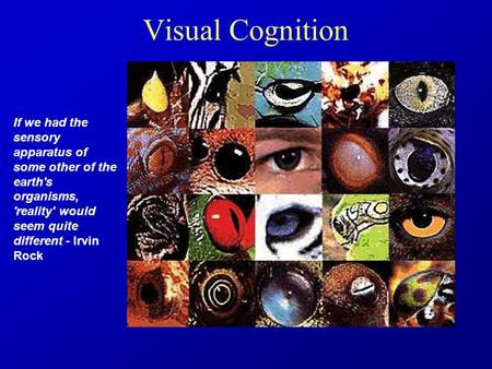 Visual Cognition If we had the sensory apparatus of some other of the earth's organisms, 'reality' would seem quite different - Irvin Rock.