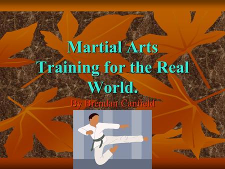 Martial Arts Training for the Real World. By Brendan Canfield.