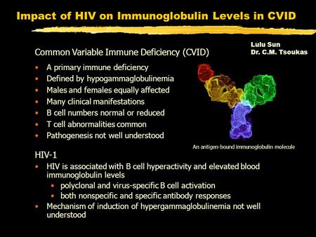 Impact of HIV on Immunoglobulin Levels in CVID A primary immune deficiency Defined by hypogammaglobulinemia Males and females equally affected Many clinical.