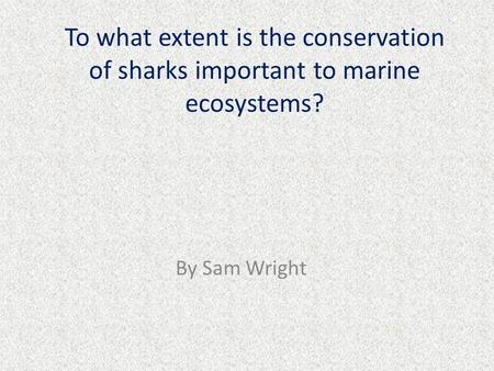 To what extent is the conservation of sharks important to marine ecosystems? By Sam Wright.