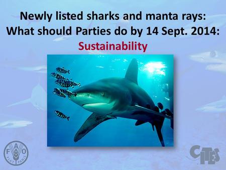 Newly listed sharks and manta rays: What should Parties do by 14 Sept. 2014: Sustainability.